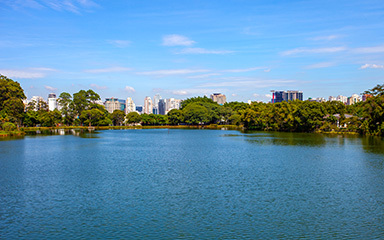 Cinco curiosidades sobre São Paulo, a terra da garoa! 