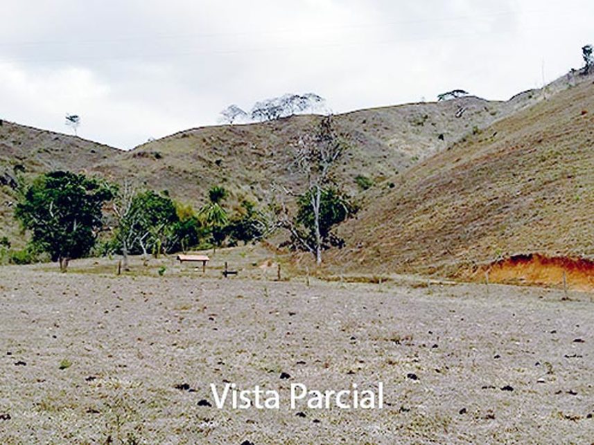 Imagem  do Leilão de Área Rural - Córrego Quebra Panela - Mendes Pimentel/MG