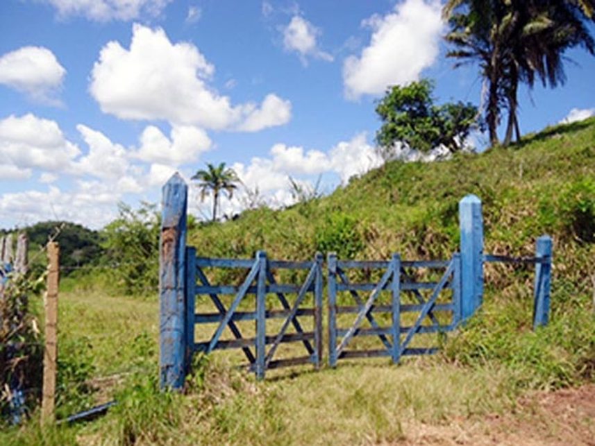 Imagem 2 do Leilão de Área Rural - Fazenda Caboclo - Pojuca/BA