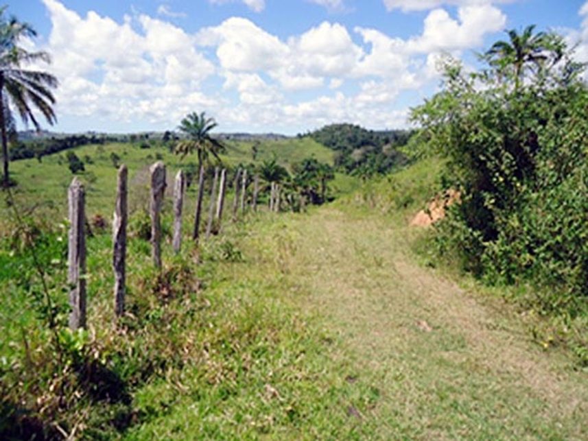 Imagem 3 do Leilão de Área Rural - Fazenda Caboclo - Pojuca/BA