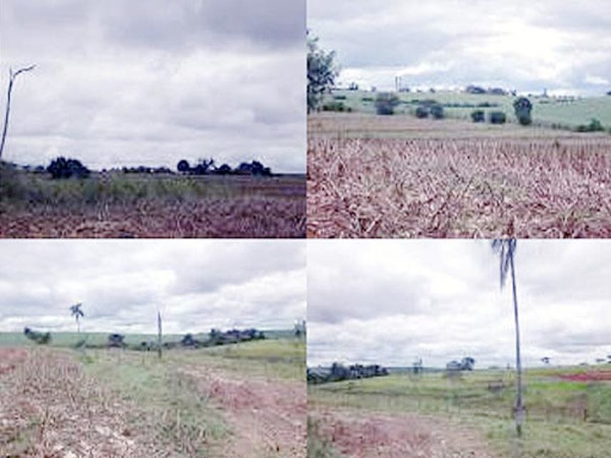 Imagem 2 do Leilão de Área Rural - Bairro Lagoa Seca - Adamantina/SP