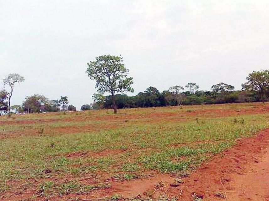Imagem  do Leilão de Área Rural - Fazenda Três Barras - Prata/MG