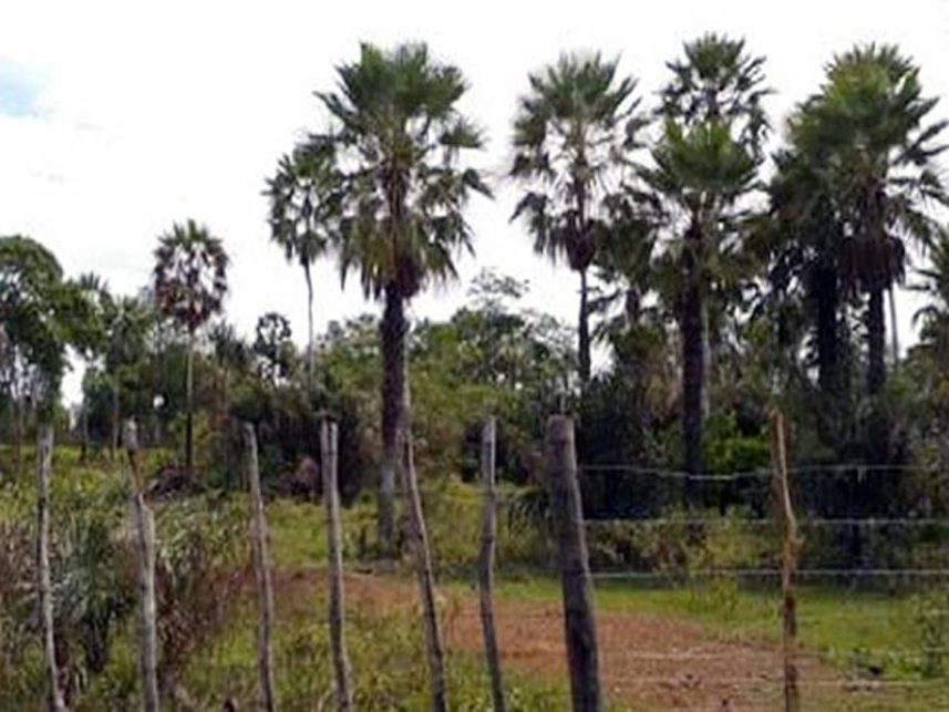 Imagem 2 do Leilão de Área Rural - Fazenda Três Marias III - Piripiri/PI