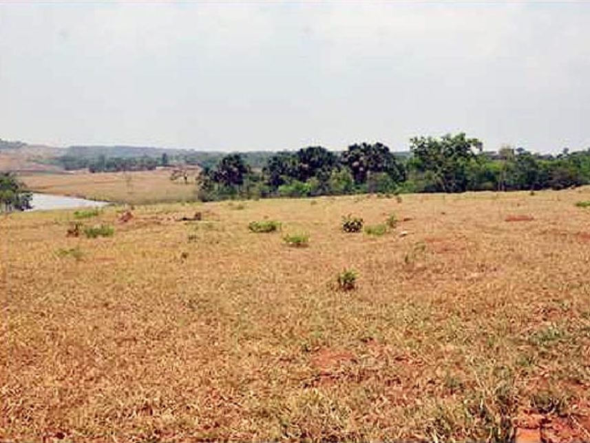 Imagem 2 do Leilão de Área Rural - Fazenda Lajes e Morro Feio - Hidrolândia/GO