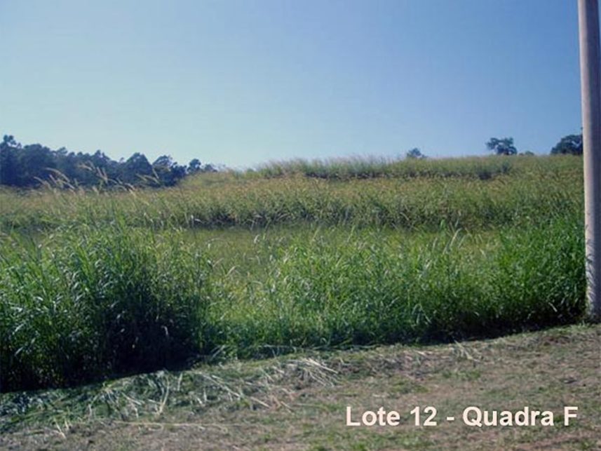 Imagem  do Leilão de Chácara - Bairro do Varejão - Mairinque/SP