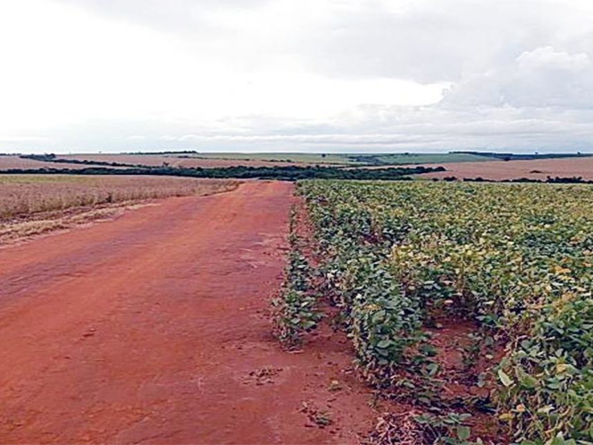 Imagem 2 do Leilão de Áreas Rurais - Fazenda Águia Branca - Brasilândia do Sul/PR