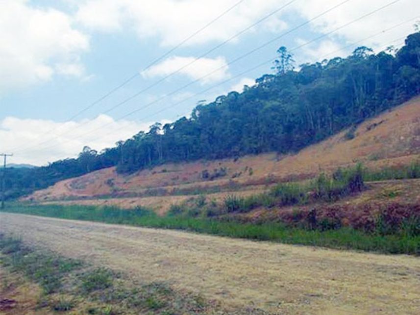 Imagem  do Leilão de Terreno - Vila do Salto - Luiz Alves/SC