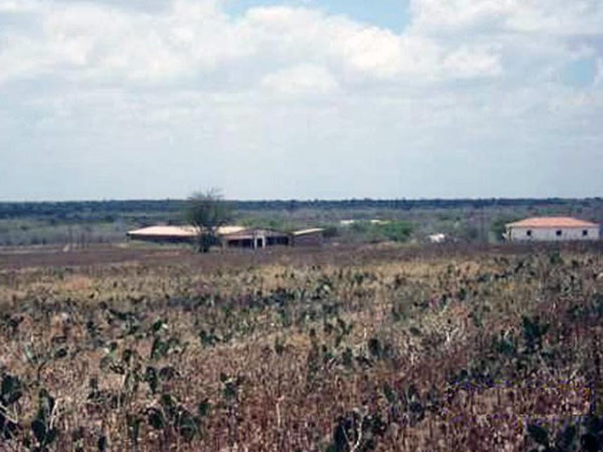 Imagem  do Leilão de Área Rural - Sítio Serrote da Cobra - Pocinhos/PB