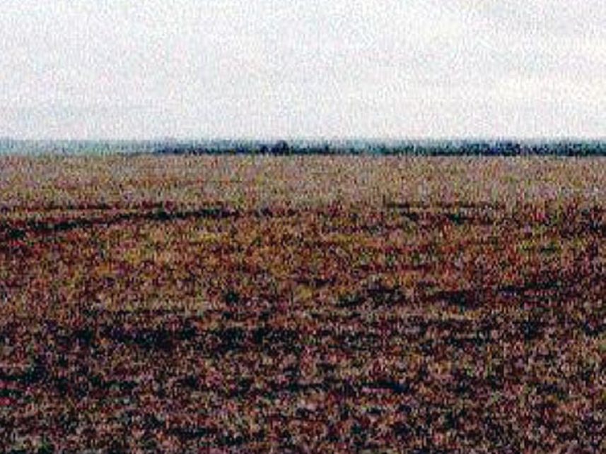 Imagem 13 do Leilão de Fazenda - Indefinido - Maracaju/MS