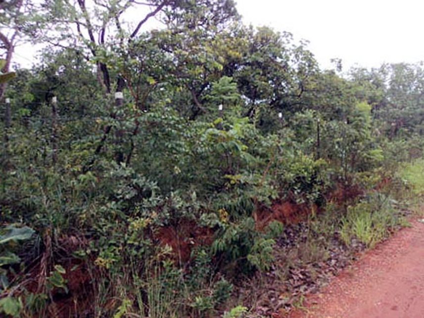 Imagem  do Leilão de Terreno - Recanto da Lagoa - Lagoa Santa/MG