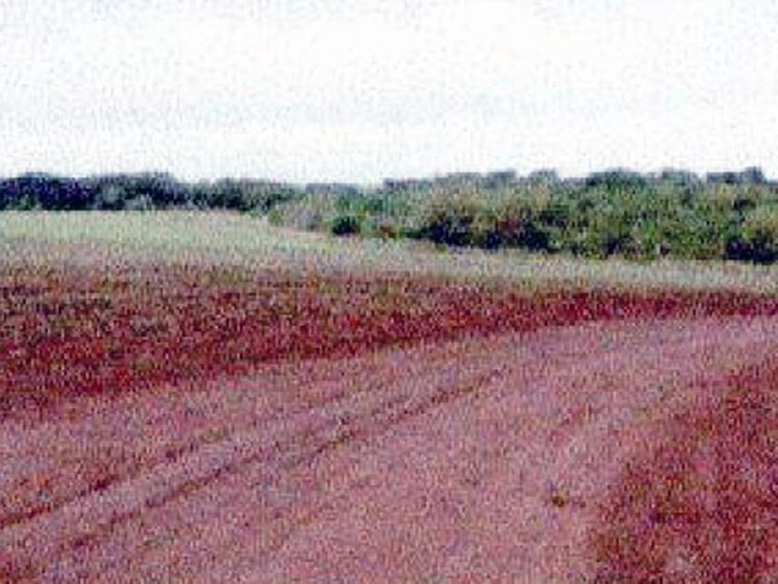 Imagem 19 do Leilão de Fazenda - Indefinido - Maracaju/MS