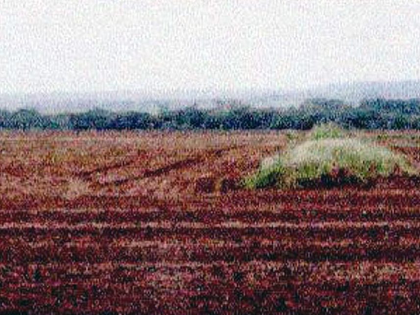 Imagem 16 do Leilão de Fazenda - Indefinido - Maracaju/MS
