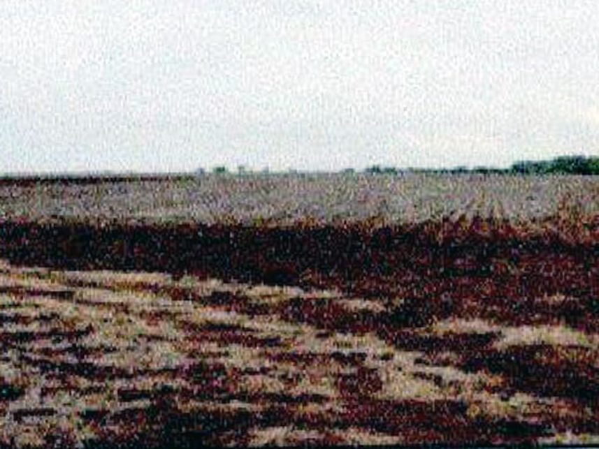 Imagem 3 do Leilão de Fazenda - Indefinido - Maracaju/MS