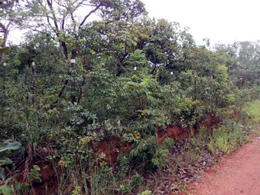 Imagem  do Leilão de Terreno - Recanto da Lagoa - Lagoa Santa/MG
