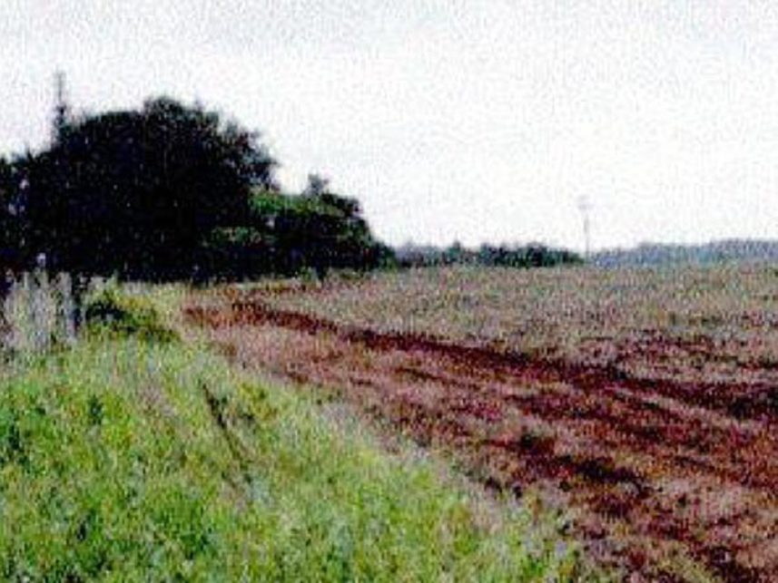 Imagem 15 do Leilão de Fazenda - Indefinido - Maracaju/MS