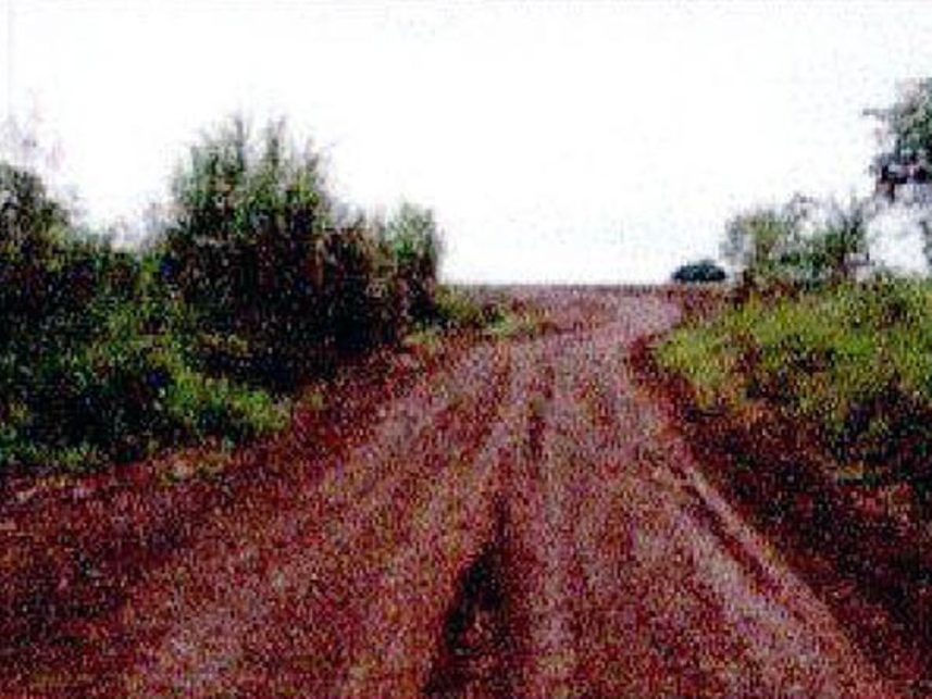 Imagem 21 do Leilão de Fazenda - Indefinido - Maracaju/MS