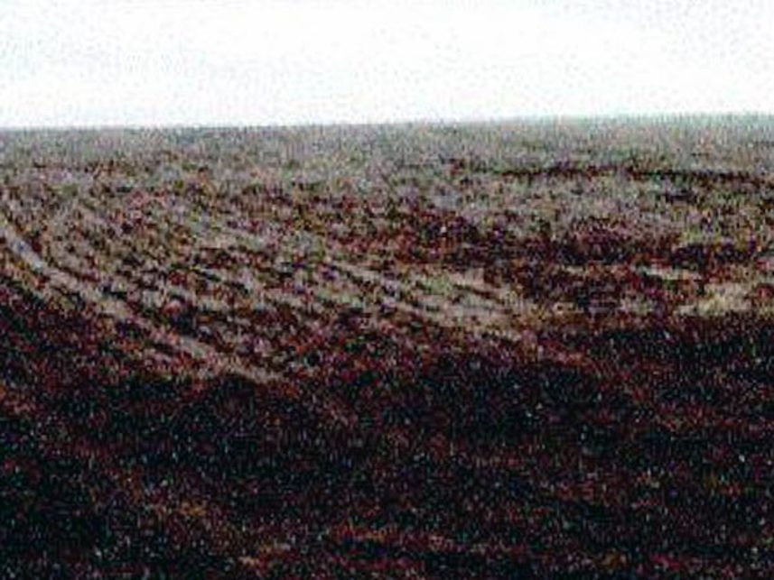 Imagem 6 do Leilão de Fazenda - Indefinido - Maracaju/MS