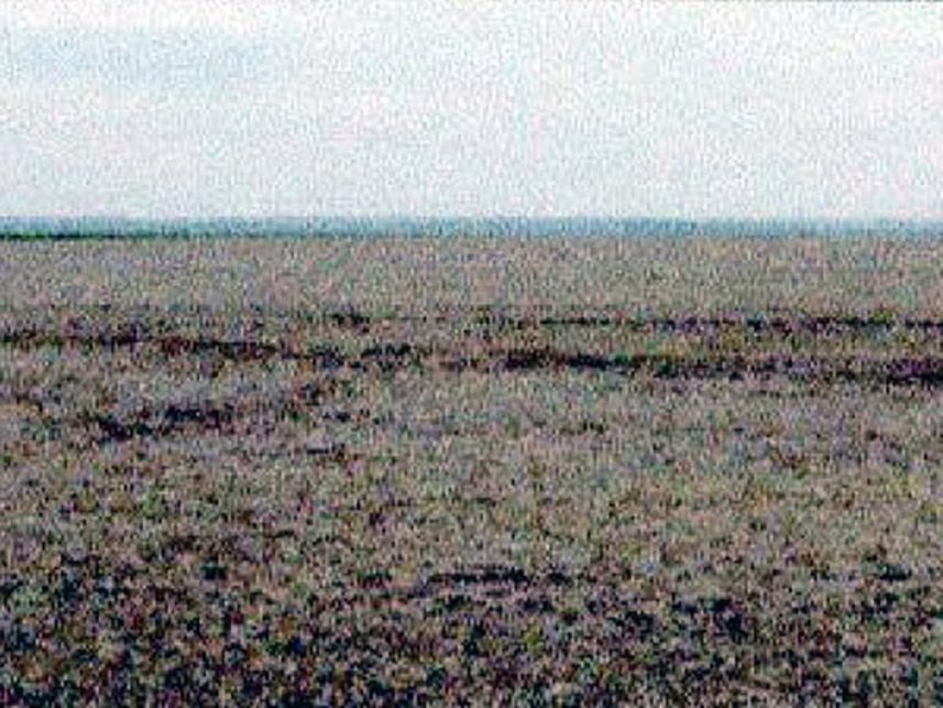 Imagem 12 do Leilão de Fazenda - Indefinido - Maracaju/MS