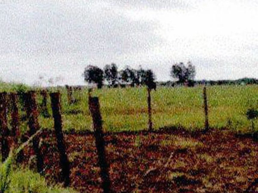 Imagem 11 do Leilão de Fazenda - Indefinido - Maracaju/MS