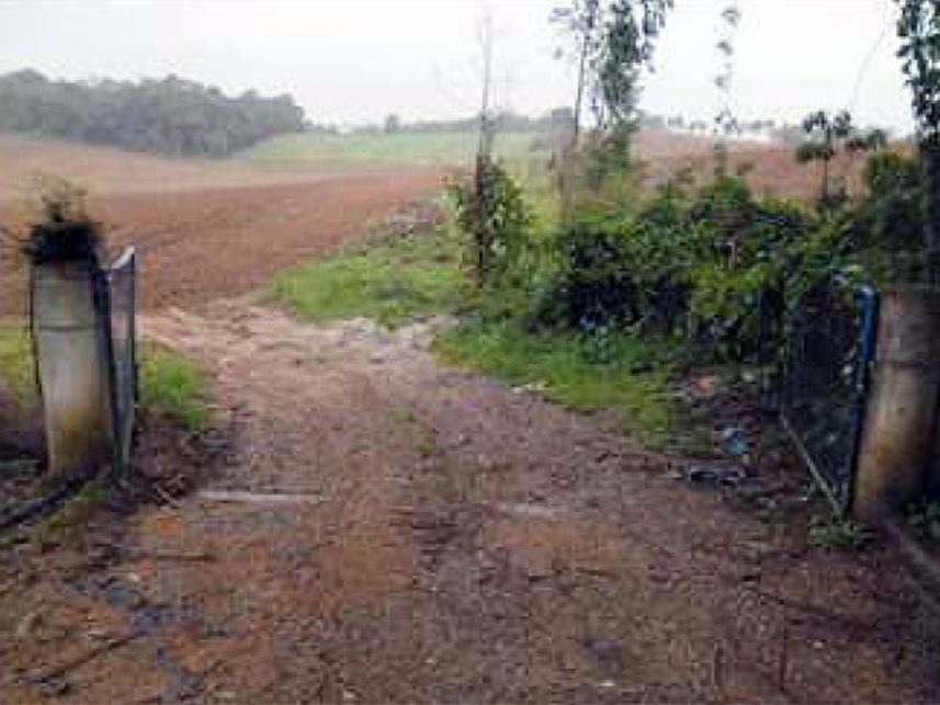 Imagem 1 do Leilão de Área Rural - Roseira do Campo Largo - São José dos Pinhais/PR
