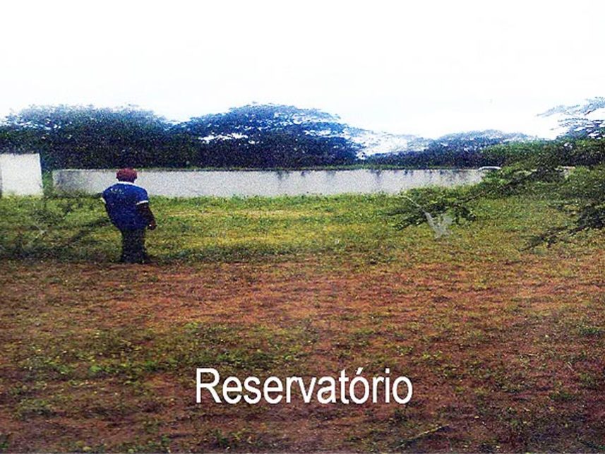 Imagem 5 do Leilão de Fazenda - Fazenda Covas - Nova Soure/BA