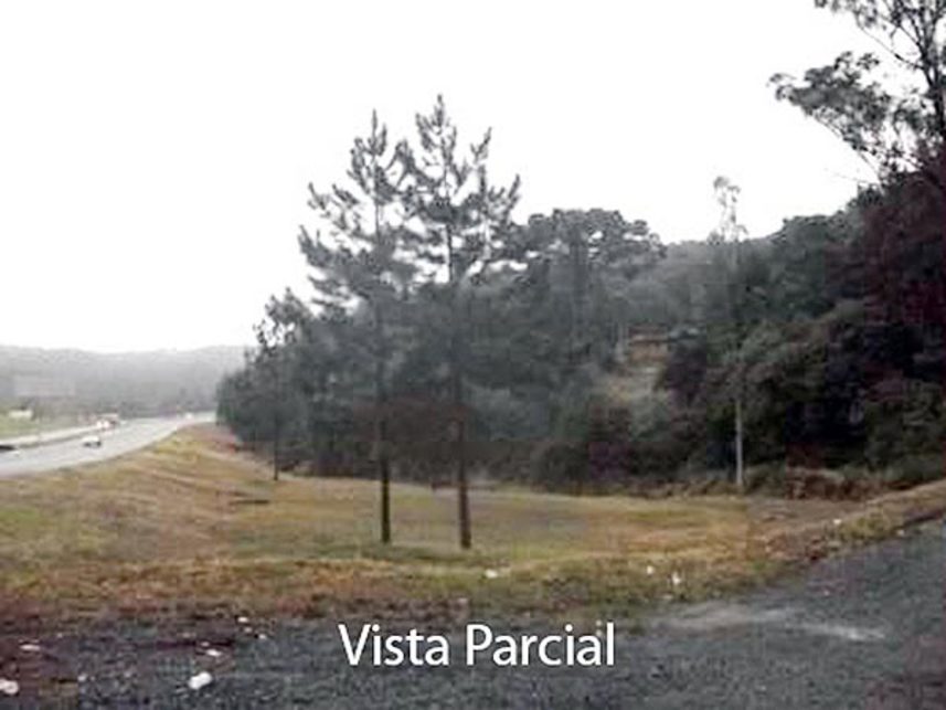 Imagem  do Leilão de Terreno - Juquiá - Juquitiba/SP