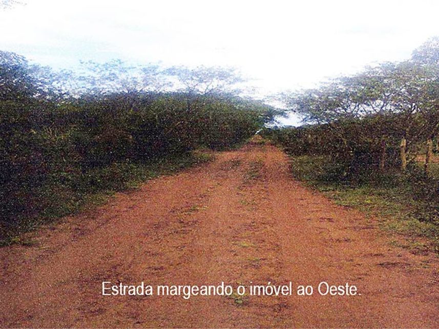Imagem 3 do Leilão de Fazenda - Fazenda Covas - Nova Soure/BA