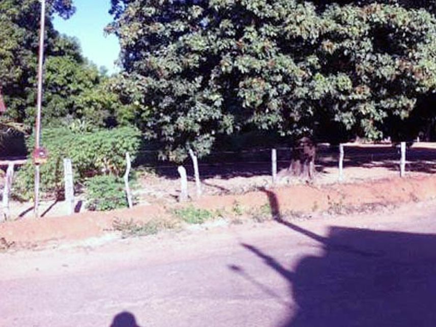 Imagem 2 do Leilão de Terreno - Indefinido - Peixe/TO
