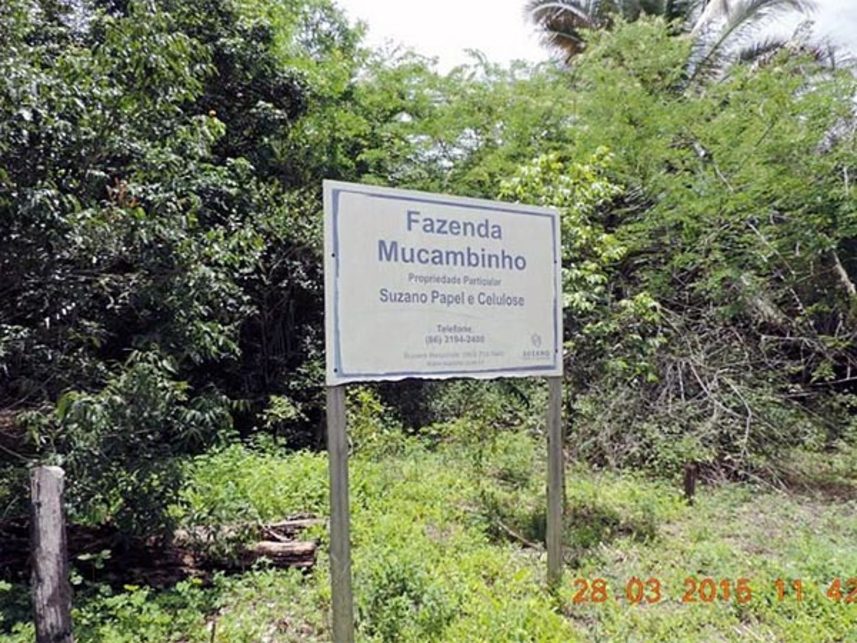 Imagem  do Leilão de Área Rural - Indefinido - Caxias/MA