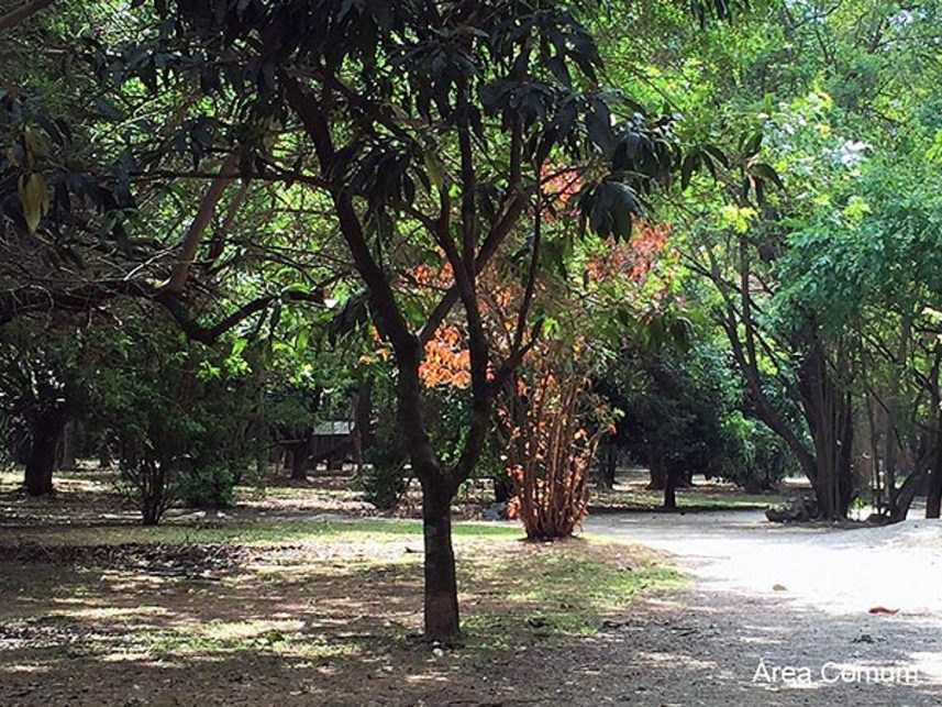 Imagem 12 do Leilão de Casa - Condomínio Alphaville Residencial 2 - Barueri/SP