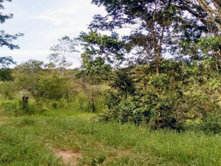Imagem 2 do Leilão de Área Rural - Fazenda do Fundão - Lagoa da Prata/MG