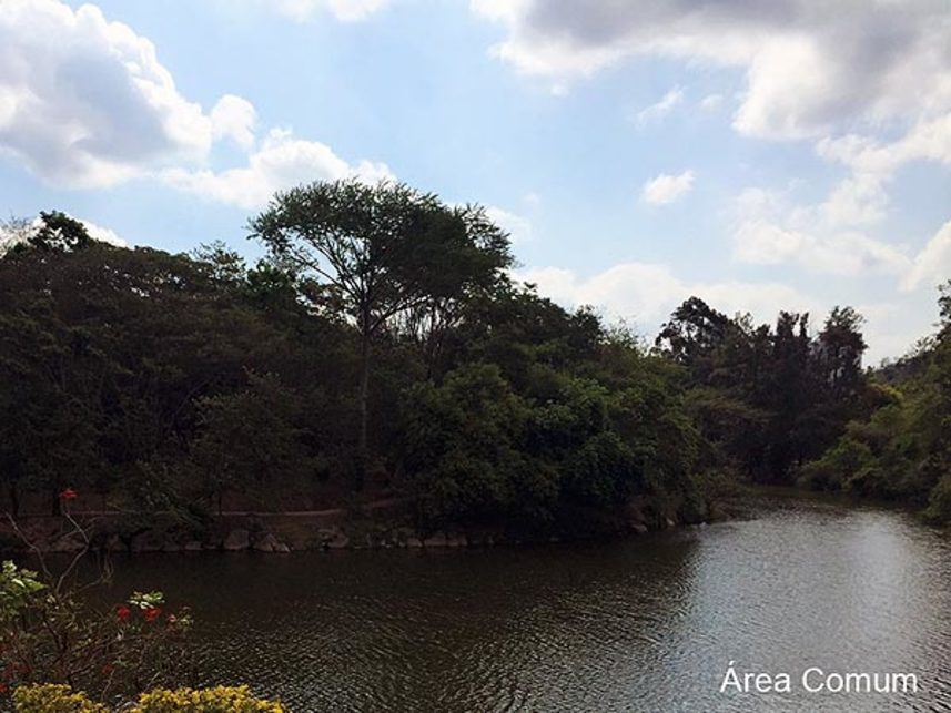 Imagem 10 do Leilão de Casa - Condomínio Alphaville Residencial 2 - Barueri/SP