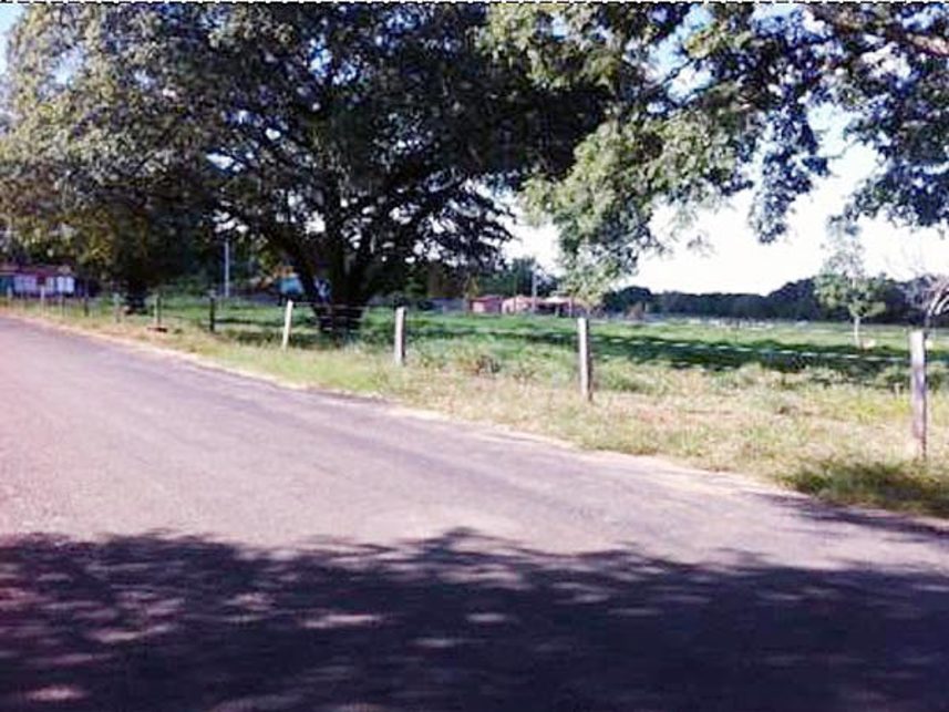 Imagem 1 do Leilão de Terreno - Indefinido - Peixe/TO