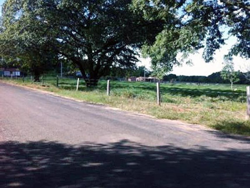 Imagem 1 do Leilão de Terreno - Indefinido - Peixe/TO
