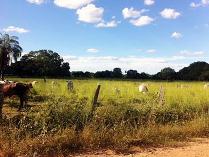 Imagem 2 do Leilão de Terreno - Indefinido - Peixe/TO