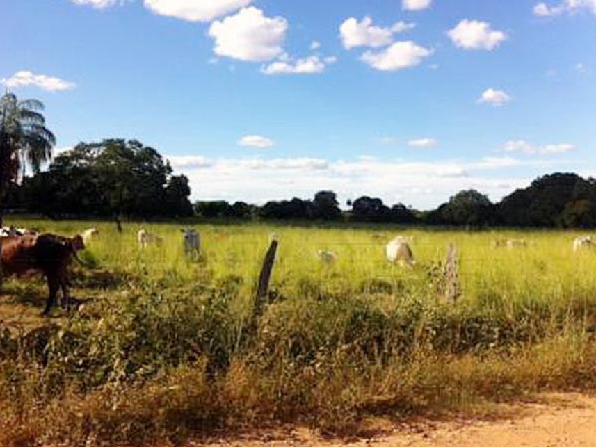 Imagem 2 do Leilão de Terreno - Indefinido - Peixe/TO