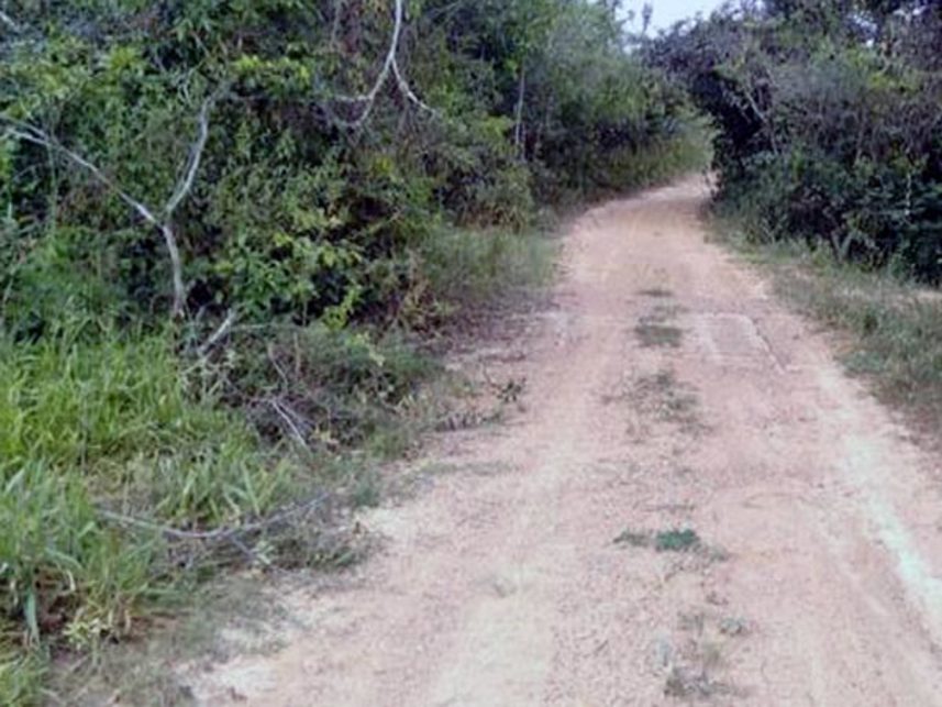Imagem 1 do Leilão de Área Rural - Fazenda do Fundão - Lagoa da Prata/MG