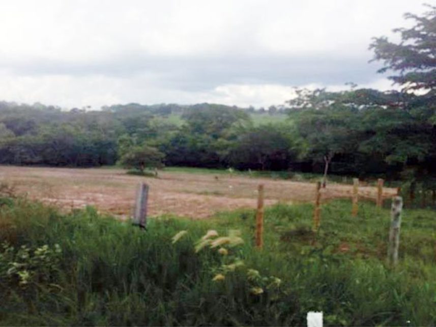 Imagem 2 do Leilão de Área Rural - Fazenda Sapesal - Itaberaí/GO
