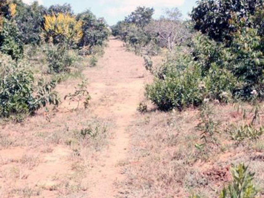 Imagem 2 do Leilão de Área Rural - Comercial Agrícola e Pastoril Santa Rita - Cristalina/GO