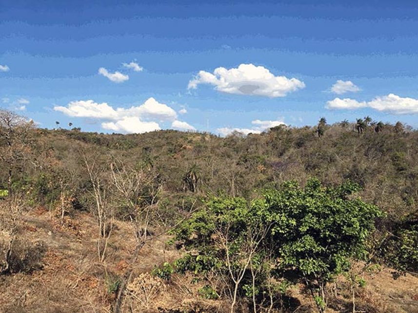 Imagem  do Leilão de Área Rural - Fazenda Bom Destino - Sabará/MG