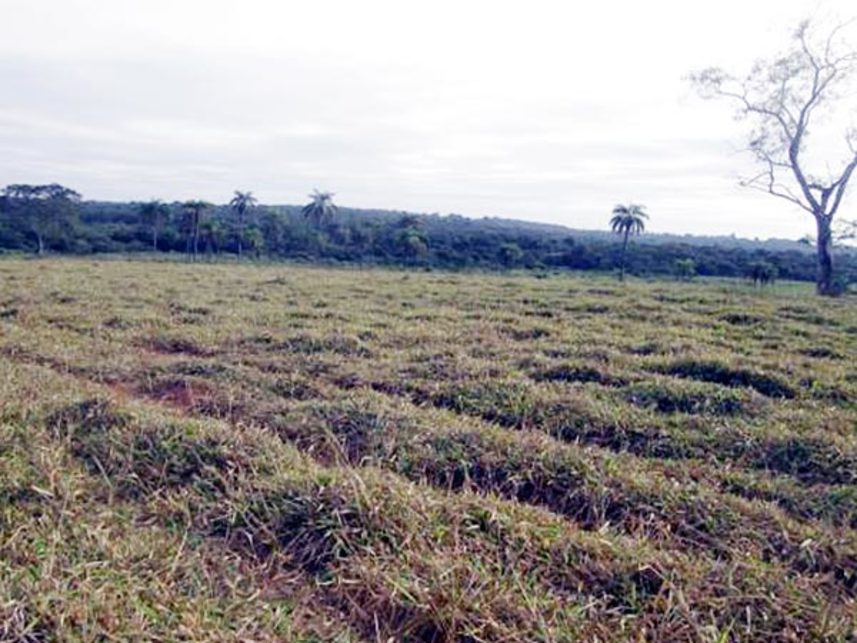 Imagem 4 do Leilão de Área Rural - Fazenda Bom Sucesso - Abaeté/MG