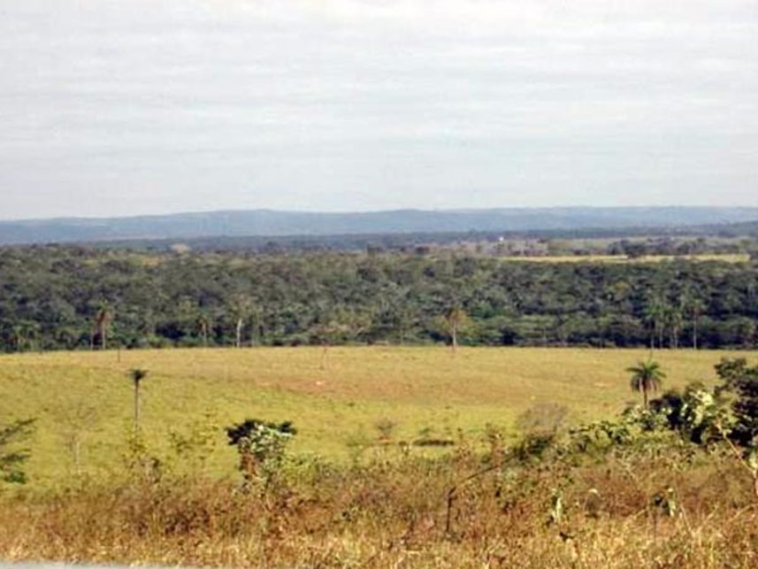 Imagem 7 do Leilão de Área Rural - Fazenda Bom Sucesso - Abaeté/MG