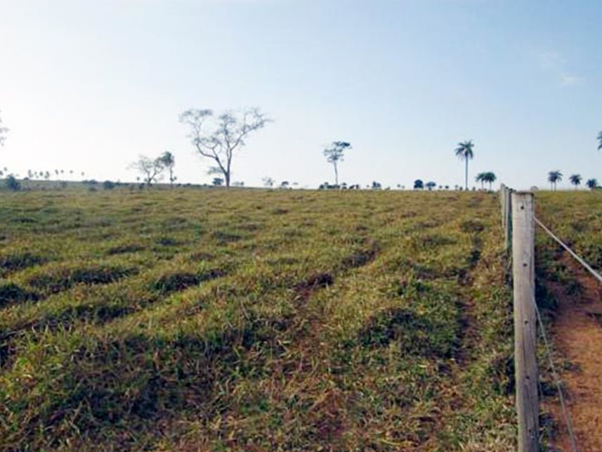 Imagem 6 do Leilão de Área Rural - Fazenda Bom Sucesso - Abaeté/MG