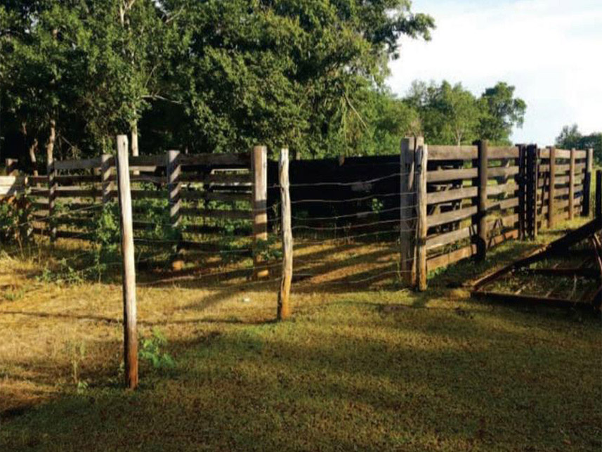 Imagem 1 do Leilão de Área Rural -  Fazenda Elegance Agro Pecuária - Goiás/GO