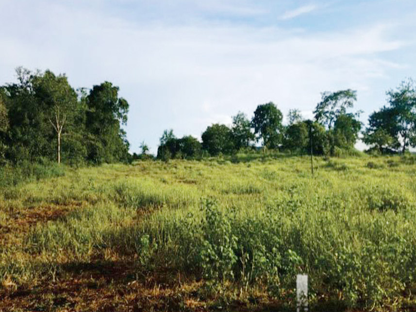 Imagem 2 do Leilão de Área Rural -  Fazenda Elegance Agro Pecuária - Goiás/GO