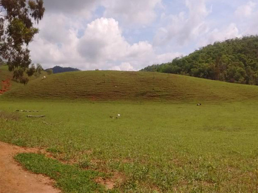 Imagem 2 do Leilão de Área Rural - Suruby Boa Vista - Água Boa/MG