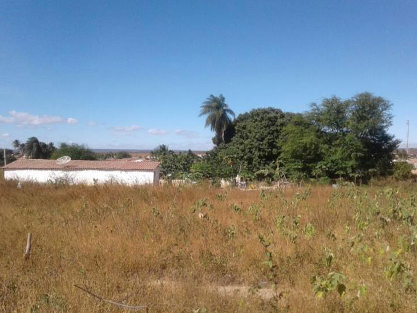 Imagem  do Leilão de Terreno - Alto Alegre - Salitre/CE