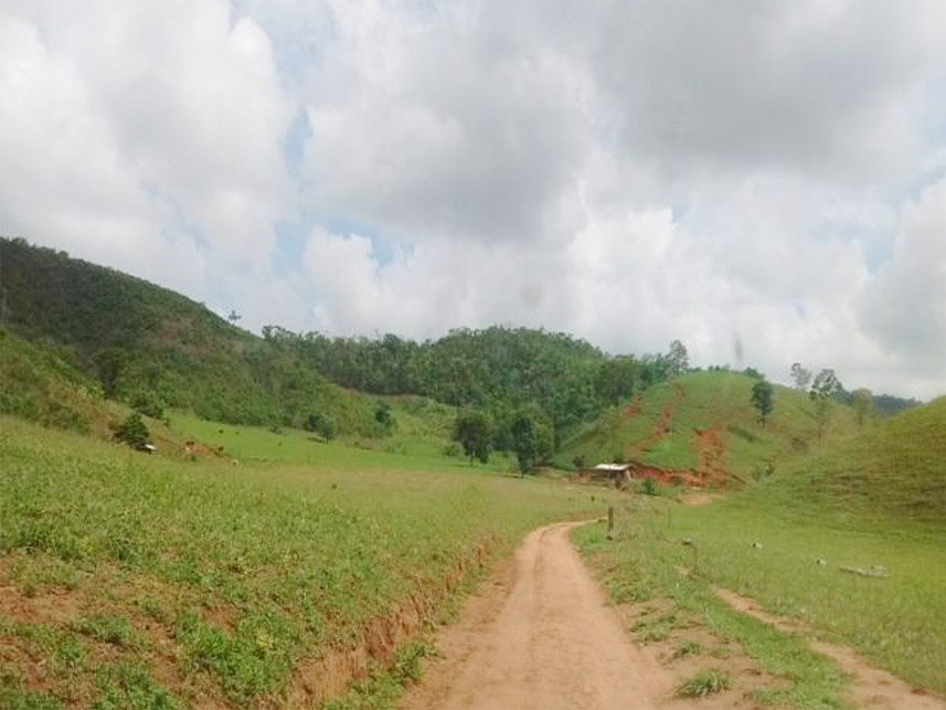 Imagem 3 do Leilão de Área Rural - Suruby Boa Vista - Água Boa/MG