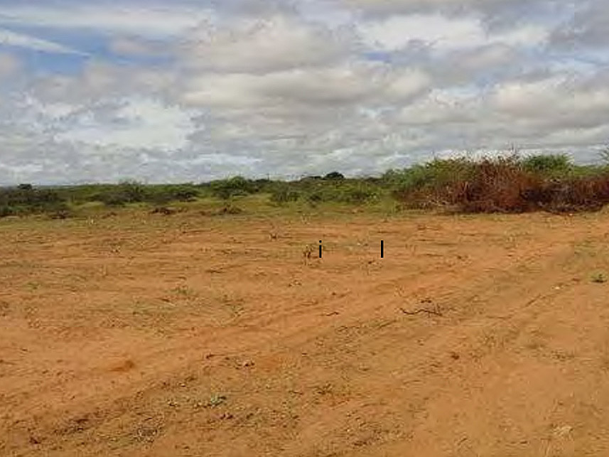 Imagem  do Leilão de Terreno - Betolândia - Juazeiro do Norte/CE