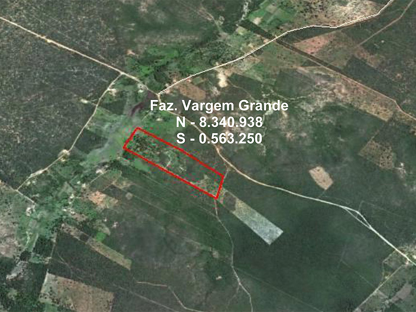 Imagem  do Leilão de Áreas Rurais -  Fazenda Vargem Grande - Januária/MG